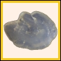 brepat_1301_b_002