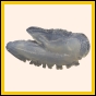 brepat_2277_b_001