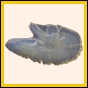 brepat_368_b_002