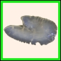 brepat_416_a_005