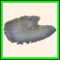 brepat_417_a_006