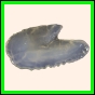 brepat_419_a_008