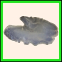 brepat_420_a_009
