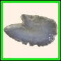 brepat_423_a_012