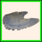 brepat_425_a_014