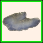 brepat_426_a_015