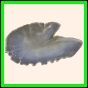 brepat_431_a_020