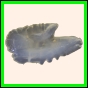 brepat_433_a_022