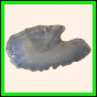 brepat_445_a_034