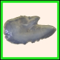 brepat_645_a_001