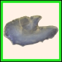 brepat_648_a_004