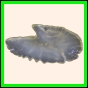 brepat_656_a_012