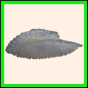 carcry_1840_a_001