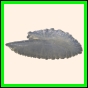 carcry_1840_b_002
