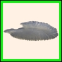 carcry_1841_a_001