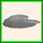 carcry_1841_b_002