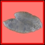 carhip_303_a_015