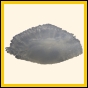 cenphi_1806_a_001