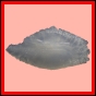 cenphi_1806_b_002