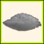 cenphi_1844_a_001