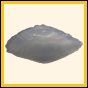 cenphi_2028_a_001