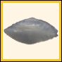 cenphi_2028_b_001