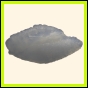 cenphi_2029_a_001