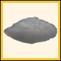cenphi_2029_b_001
