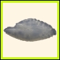 cenphi_2204_a_001