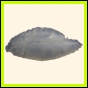 cenphi_2204_b_001