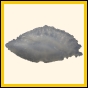 censtr_2327_a_029