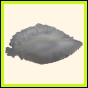 censtr_2327_b_029
