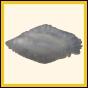 censtr_2328_a_029