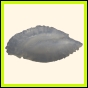 censtr_2334_a_001