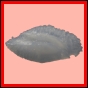 censtr_2334_b_001