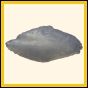 censtr_2335_a_001