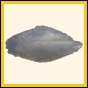 censtr_2335_b_001