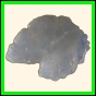 chafab_298_b_001