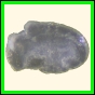 chisch_1646_b_001