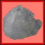 chisch_319_a_001