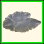 chlchr_1101_b_003