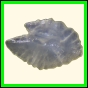 chlchr_1102_b_003