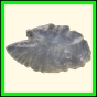 chlchr_1104_a_002