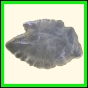 chlchr_1107_b_003