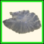 chlchr_1108_a_001