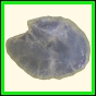 chlchr_1110_a_001