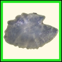chlchr_1114_a_003