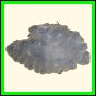 chlchr_1115_b_003