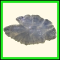 chlchr_1124_a_003