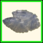 chlchr_1125_a_001